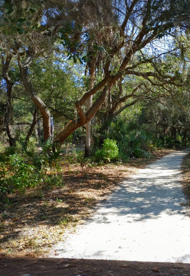 Boyd Hill Nature Preserve